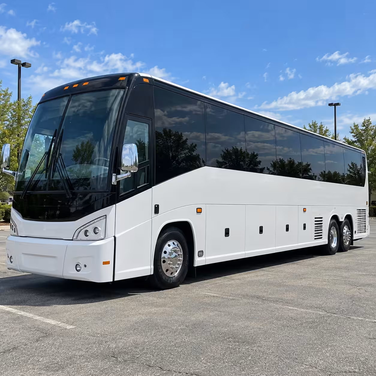 alexandria prom transportation you can compare online