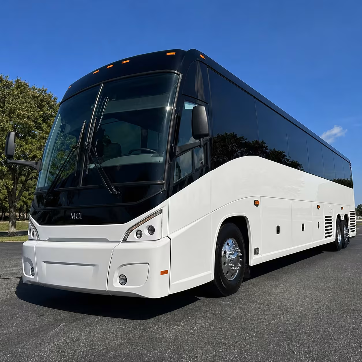compare long distance transportation options in alexandria and beyond